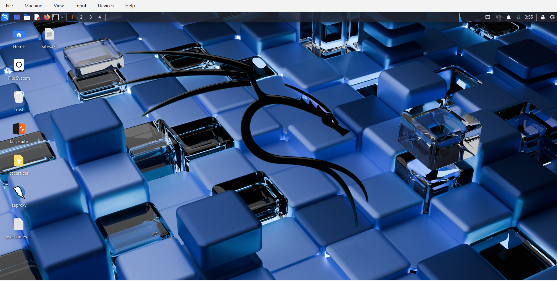 Kali Linux Desktop Interface