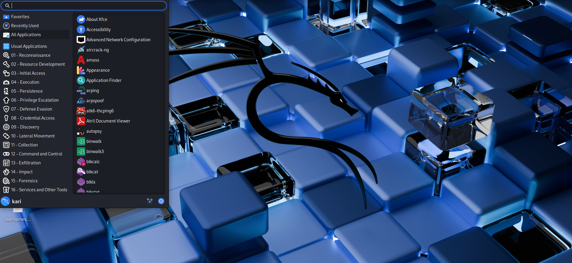 Kali Linux Security Tools