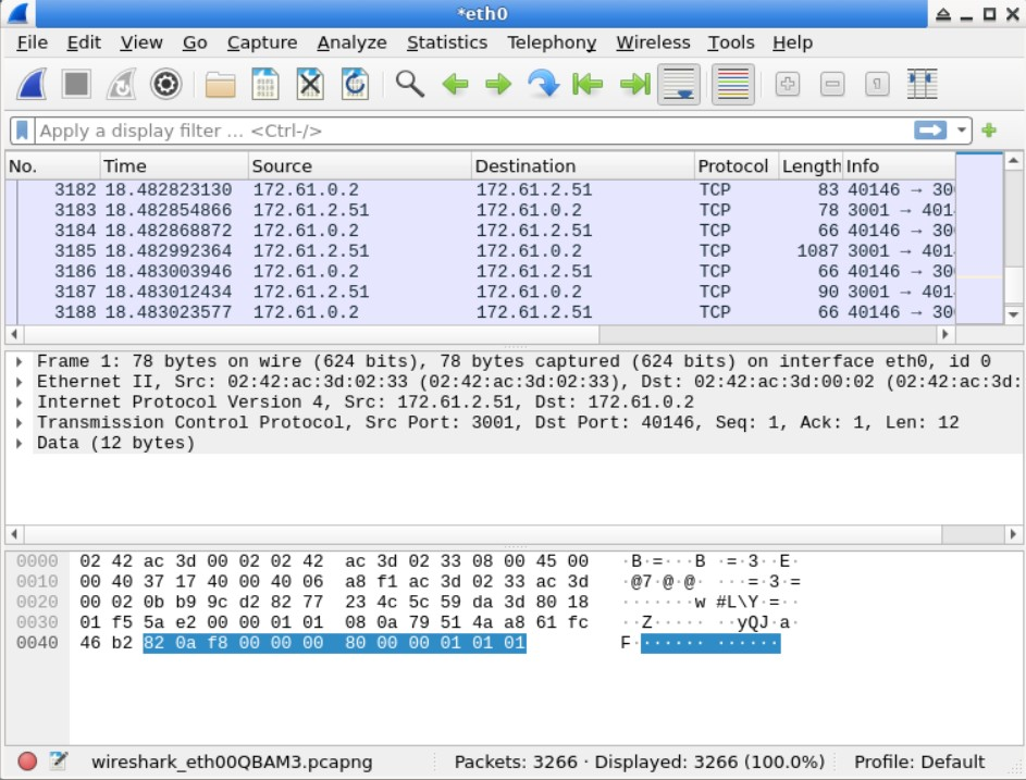 Wireshark Packet Capture