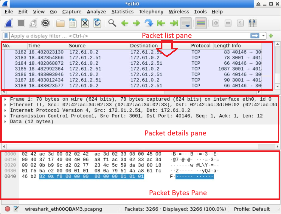 Wireshark Interface